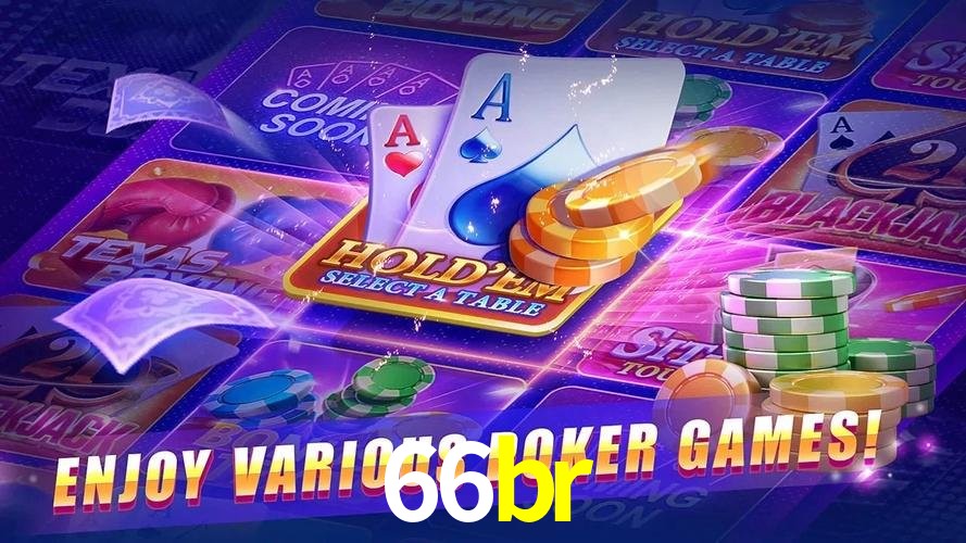 Programa VIP 66br